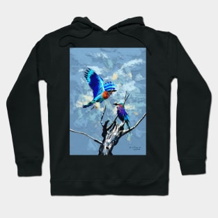 Birdy Hoodie